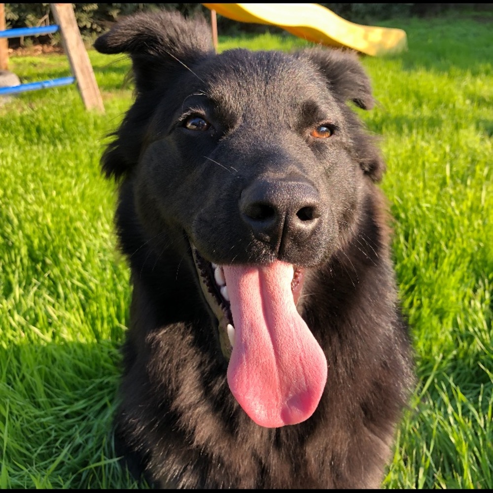 Meet your Posher, Christian